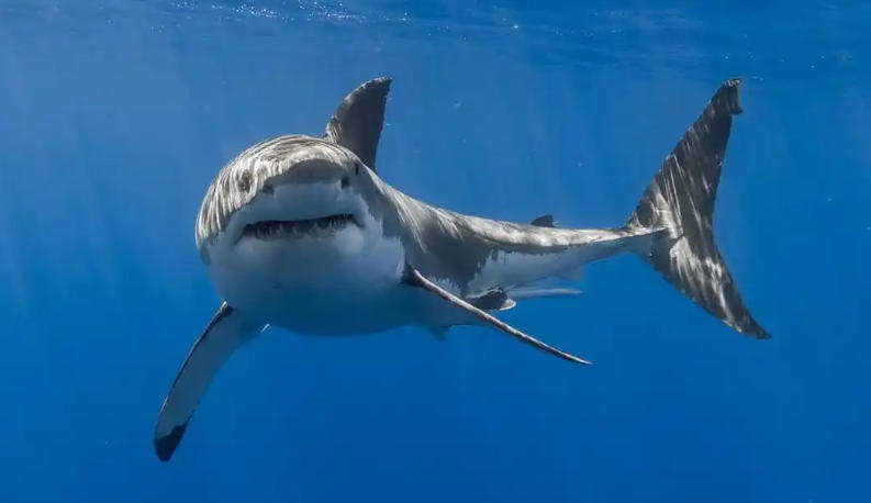 上海泽宇智能科技有限公司轮播图1