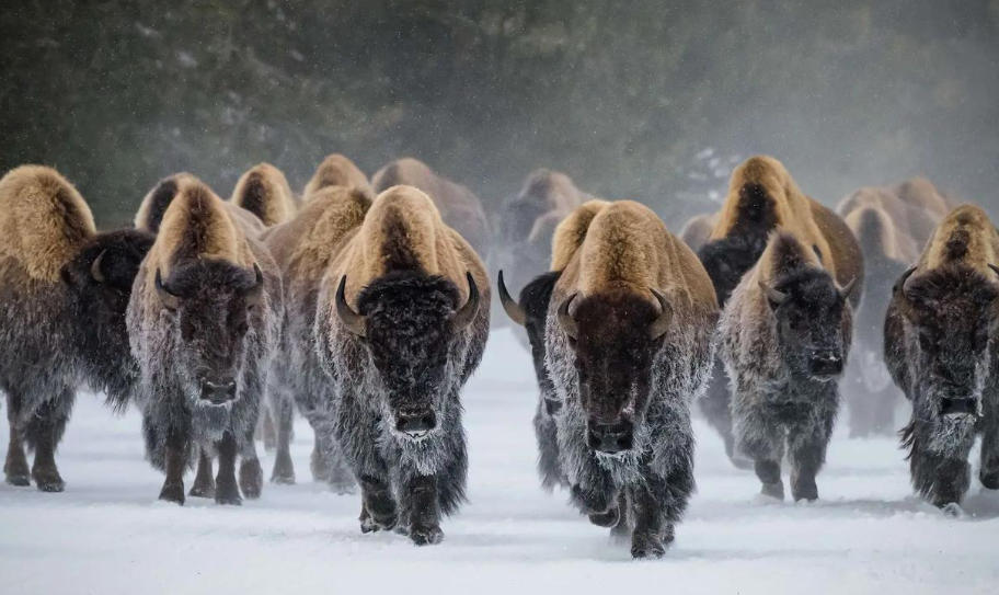 上海泽宇智能科技有限公司轮播图3